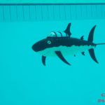 Sous-marins RC à Bourgoin-Jallieu 2013_7